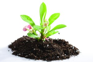 芯片算力需求预测：未来五年趋势